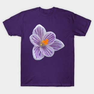 purple crocus, crocuses, spring flowers, bloom T-Shirt